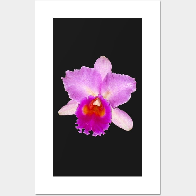 Orchid #7 Wall Art by photorolandi